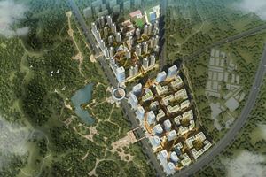 深圳市宝龙街道龙东上井片区统筹单元规划项目