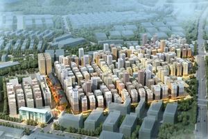 深圳市龙华区大浪街道新围新村综合整治概念规划
