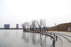 山东平邑县东城新区行政中心 景观工程设计